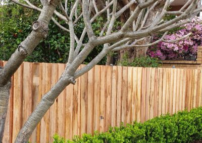 Hardwood Lapped Paling Fence