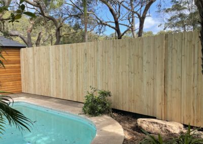 Butted Treated Pine Paling Fence