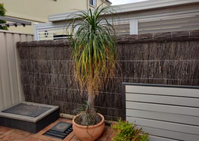 Brush Courtyard Fence