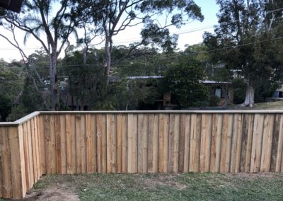 Treated Pine Lapped and Capped Paling Fence