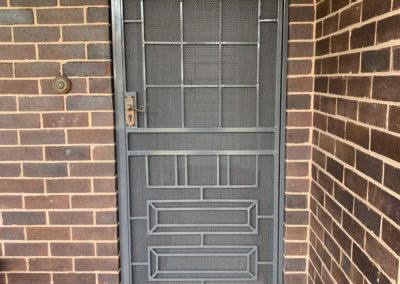 Custom Steel Mesh for Original Decorative Door