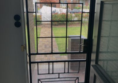 Custom Steel Mesh for Original Decorative Door