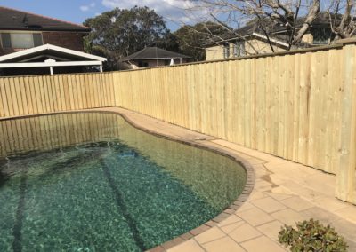 Treated Pine Lapped and Capped Paling Fence