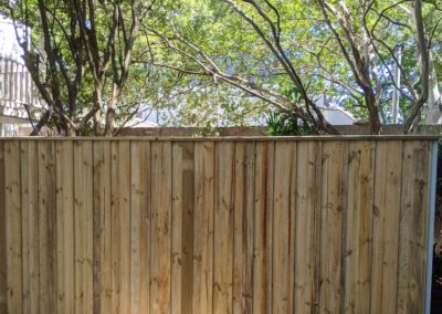 Treated Pine Lapped and Capped Paling Fence